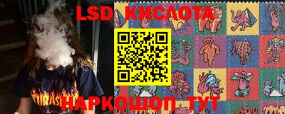 шишки Шелехов