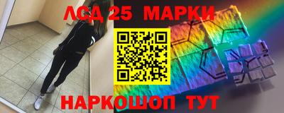 шишки Шелехов